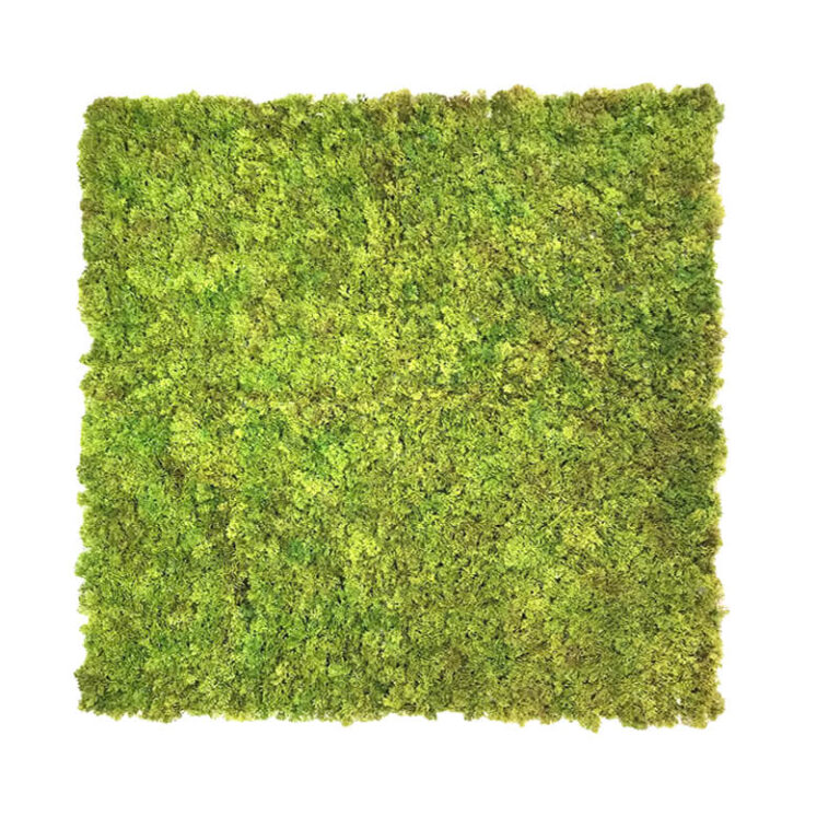 Artificial Moss Wall Panel for Modern Office Wall Decor